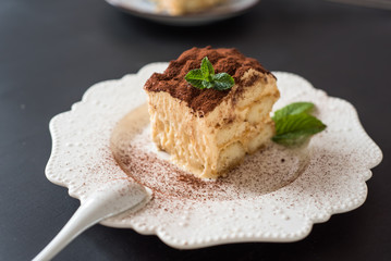 Homemade tiramisu dessert, Italian tiramisu dessert on a porcelain plate