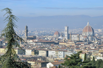 Fototapeta na wymiar Vue aérienne de Florence en Italie