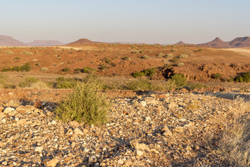 Namibi