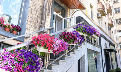 Fototapeta na wymiar Flowers are standing on the street stairs