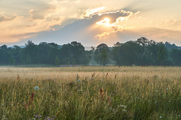Sunrise over a scenic meadow with natural flowers. Vivid colors with dramatic clouds. Wilhelminenaue, Bayreuth, Germany.