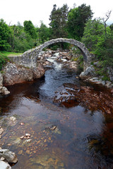 Fototapeta na wymiar Die Packhorse Bridge in Carrbridge ist die älteste Steinbrücke der schottischen Highlands