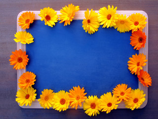 Obraz premium Ringelblumenblüten auf Schiefertafel