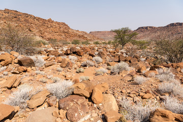 Namibia