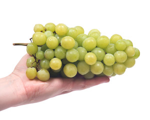 Young woman holding ripe organic grapes isolated on white background
