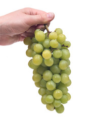 Young woman holding ripe organic grapes isolated on white background