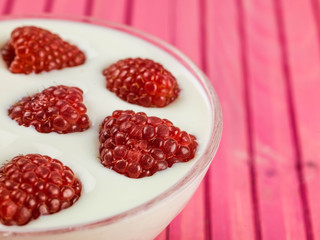 Raspberry and Yogurt Vegetarian Dessert