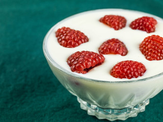Raspberry and Yogurt Vegetarian Dessert