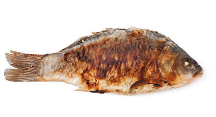Fried river fish carp isolated on white background, top view.