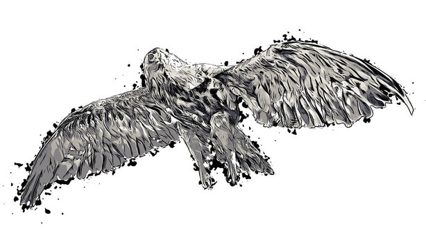 Abstract eagle or hawk geometric image