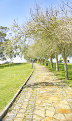 Fototapeta na wymiar Vista de Ribadeo, Lugo, Galicia
