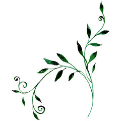 Wildflower roses flower in a watercolor style isolated. Full name of the plant: roses. Aquarelle wild flower for background, texture, wrapper pattern, frame or border.