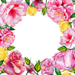 Wildflower roses flower frame in a watercolor style. Full name of the plant: roses. Aquarelle wild flower for background, texture, wrapper pattern, frame or border.