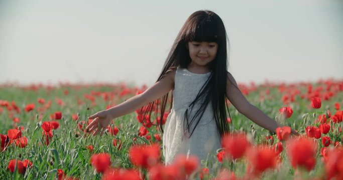 little Asian girl in a white dress walks and having fun in the field of red poppies in Sunny day, slow motion