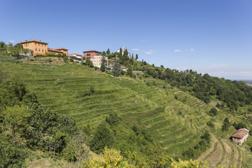 Beautiful landscape of Montevecchia (Italy)