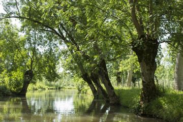 Marais Poitevin, Vendée, France