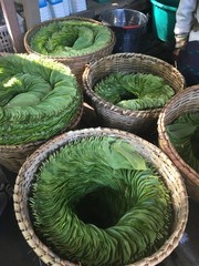Feuilles de betel Birmanie