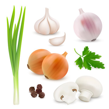 Vegetables realistic composition on white background with onions, garlic, mushrooms, parsley. Vector image