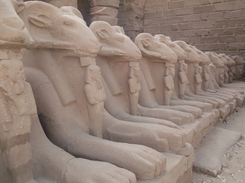 Louxor egypte afrique belier temple statue pierre
