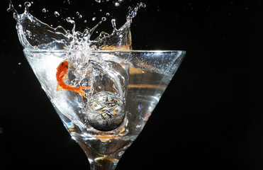 Gold Fish Jumping.