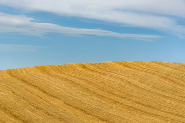 Fototapeta premium Summer landscape in Tuscany.
