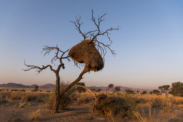 Namibia