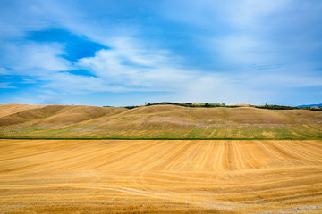 Summer landscape in Tuscany.
