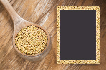 Seeds alfalfa - Medicago sativa