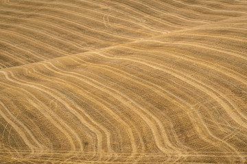 Summer landscape in Tuscany.