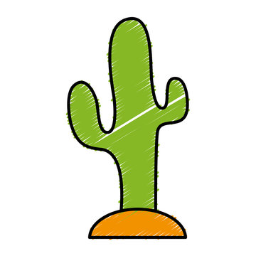 cactus icon imafe