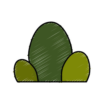 cactus icon imafe