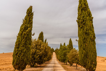 Summer landscape in Tuscany.