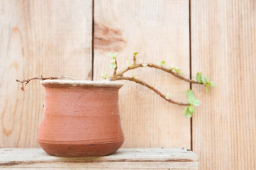 Small clay plant pot on wooden shelf with wood background.