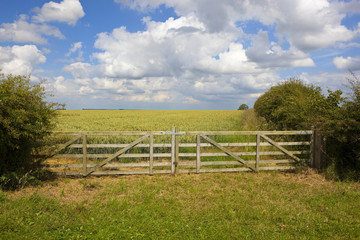 Fototapeta na wymiar wooden field gate