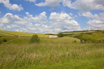 valley landscape