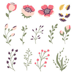 Floral set of branches, flowers and leaves. Isolated vector elements - 163826038