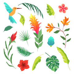 Vector summer set of tropical plants, palm leaves, flowers and bird. 