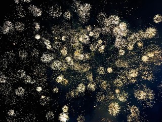 Fireworks in Sky