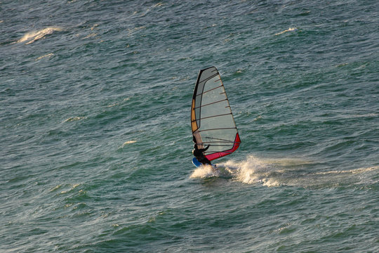 Windsurfer riding the waves