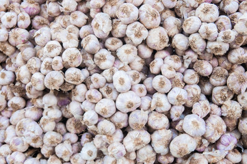 White garlic for background.