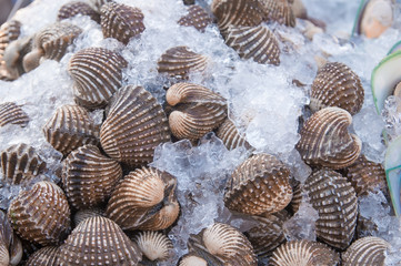 Mussel and Cockle shellfish with many ice in public market.