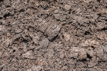 Texture and pattern background from dry soil earth.
