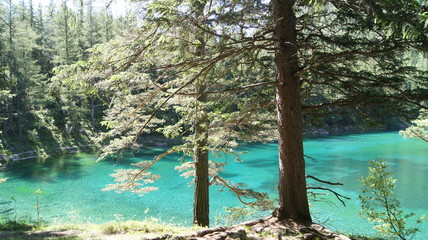 gruner see autriche