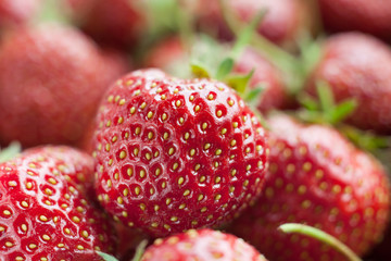 Fresh strawberries