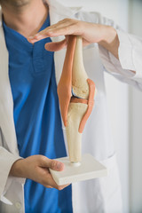 in the doctor's hands the layout of the knee joint