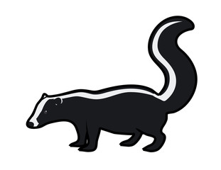 cartoon vector illustration of a skunk