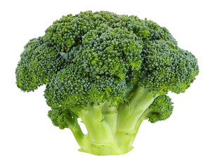 broccoli isolated on white background