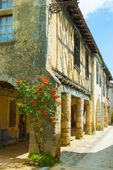 Fototapeta na wymiar Rosenbusch an einer Fassade im historischen Labastide-d’Armagnac, Aquitanien, Frankreich