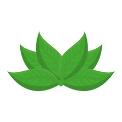 leaves icon image