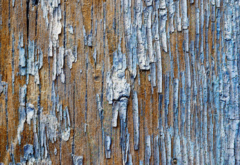 Old painted wooden plank